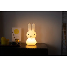 Load image into Gallery viewer, Miffy Shines