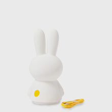 Load image into Gallery viewer, Miffy Shines