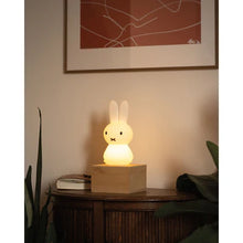 Load image into Gallery viewer, Miffy Shines