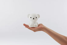 Load image into Gallery viewer, Bundle of Light - BORIS