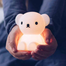 Load image into Gallery viewer, Bundle of Light - BORIS