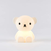 Load image into Gallery viewer, Bundle of Light - BORIS