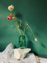 Load image into Gallery viewer, YEEND Sugarpill