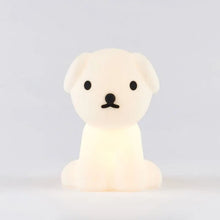 Load image into Gallery viewer, Bundle of Light - SNUFFY