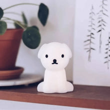 Load image into Gallery viewer, Bundle of Light - SNUFFY