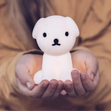 Load image into Gallery viewer, Bundle of Light - SNUFFY