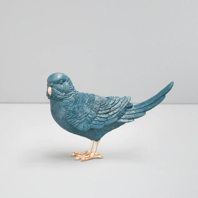 White Moose Budgie - Midnight / Gold