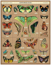 Load image into Gallery viewer, Cavallini &amp; Co Jigsaw Puzzle 1000 Piece - Entomology
