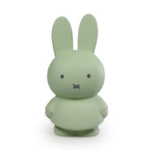 Load image into Gallery viewer, Miffy Money Box 19cm - Eucalyptus
