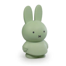 Load image into Gallery viewer, Miffy Money Box 19cm - Eucalyptus
