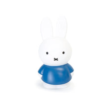 Load image into Gallery viewer, Miffy Money Box 19cm - Blue
