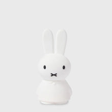 Load image into Gallery viewer, Miffy Shines
