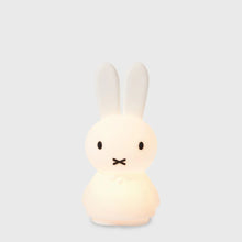 Load image into Gallery viewer, Miffy Shines
