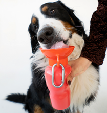 Load image into Gallery viewer, Dog Travel Bottle - Classic - 650ml
