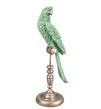 Load image into Gallery viewer, CAM Ornithology Aviary Perroquet Royale

