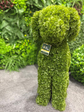 Load image into Gallery viewer, MAX the Topiary Cypress Dog
