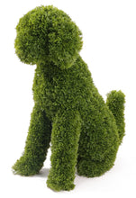 Load image into Gallery viewer, MAX the Topiary Cypress Dog
