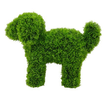 Load image into Gallery viewer, LUNA the Topiary Cypress Puppy Dog
