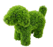 Load image into Gallery viewer, LUNA the Topiary Cypress Puppy Dog
