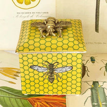 Load image into Gallery viewer, CAM Jardiner Abeja Trinket Box

