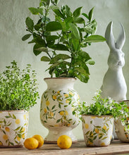 Load image into Gallery viewer, Botanical Lemon Urn
