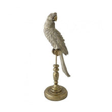 Load image into Gallery viewer, CAM Ornithology Aviary Perroquet Royale
