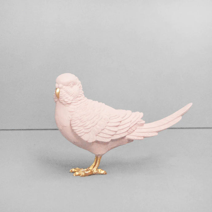 White Moose Budgie - Pink / Gold