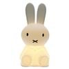 Load image into Gallery viewer, MIFFY XL Lamp
