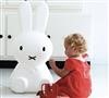 Load image into Gallery viewer, MIFFY XL Lamp
